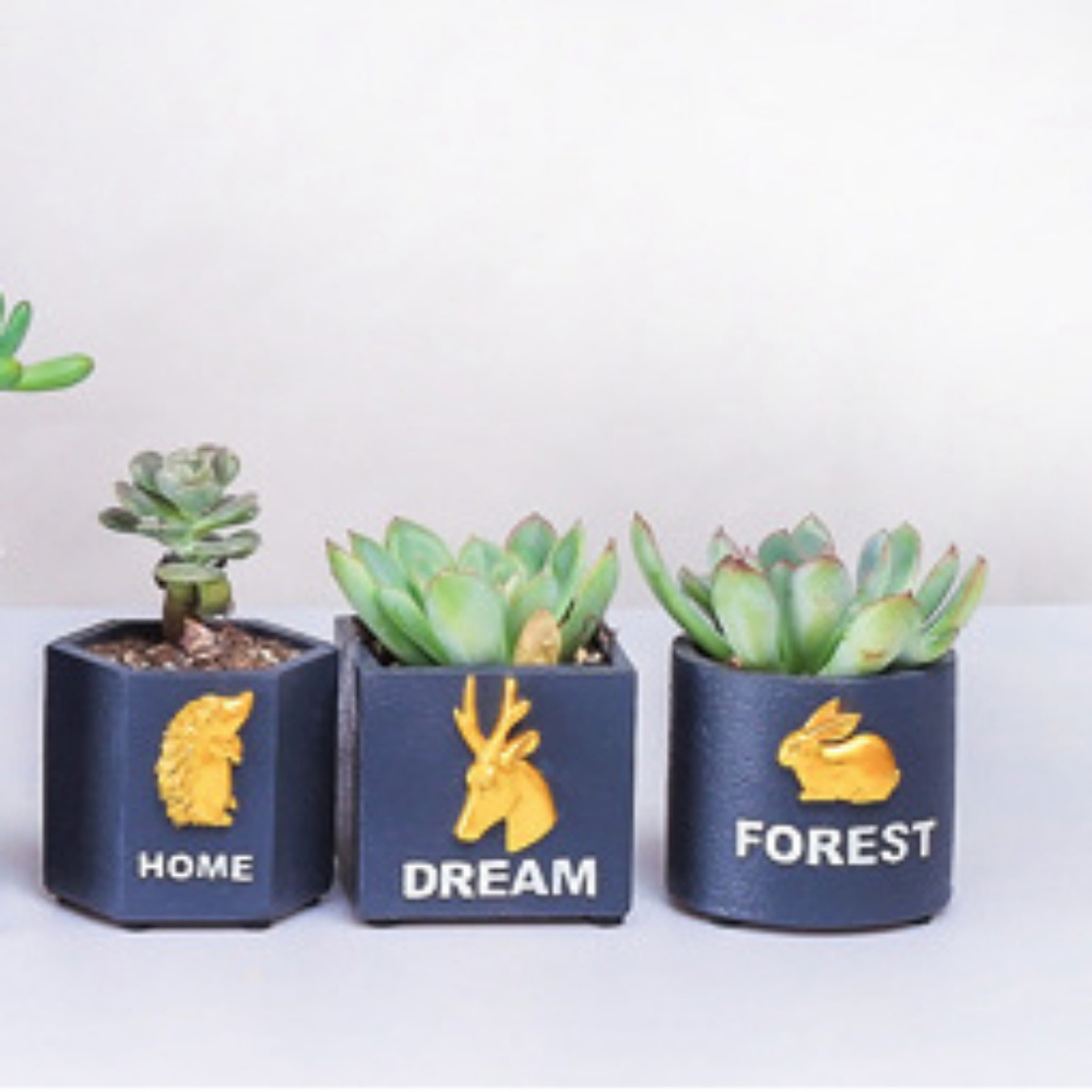 3 pcs set Forest Animal mini Planters